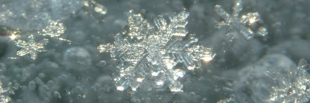 Winter_KSFT's profile banner image