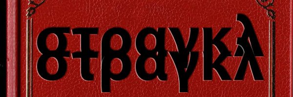 scheissesaid's profile banner image