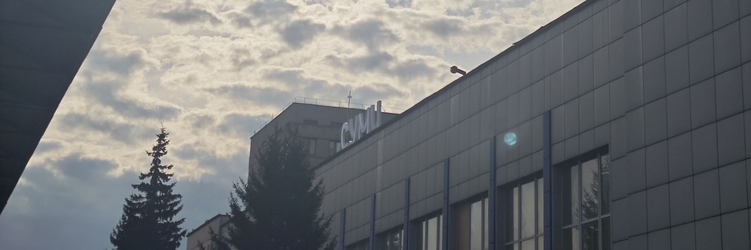 Дарія Шейніна's banner