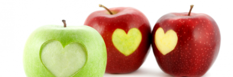 Erica Hoff- M.Ed Literacy banner