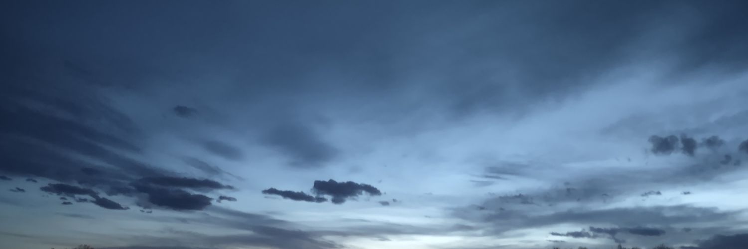 NymphyDahlia's profile banner image