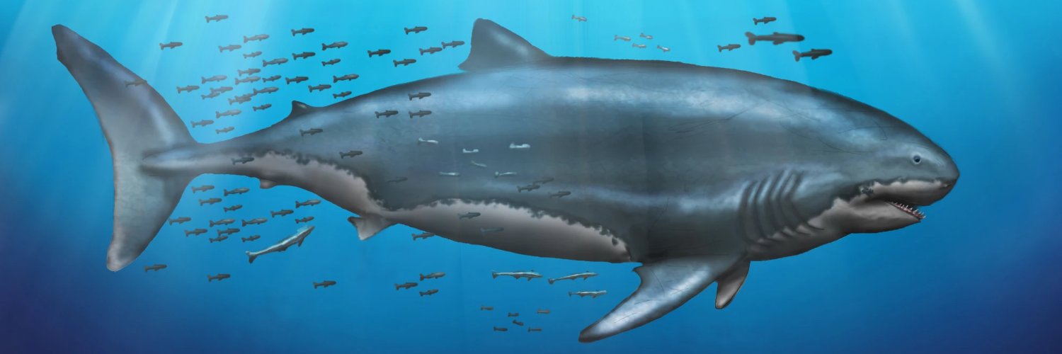 HunterNFT86.ink ⚡ banner