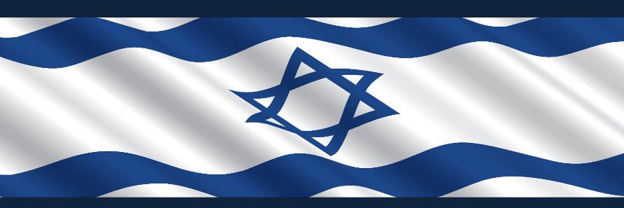 ענת בר חנין's banner