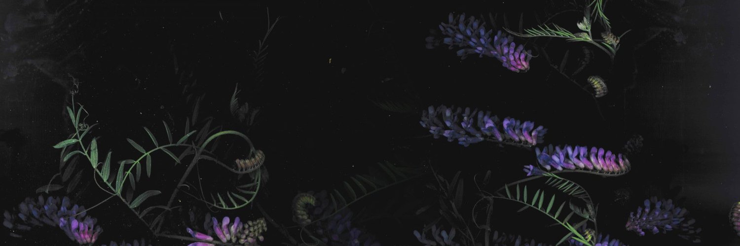 ab2_lp's profile banner image