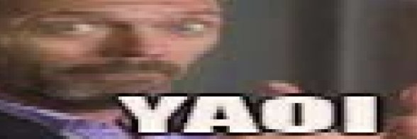 dinguspriv banner
