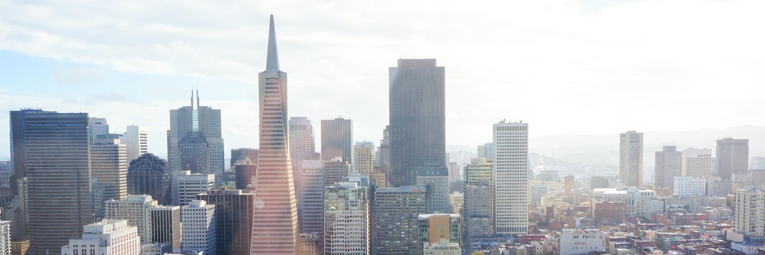 frank rapacciuolo banner