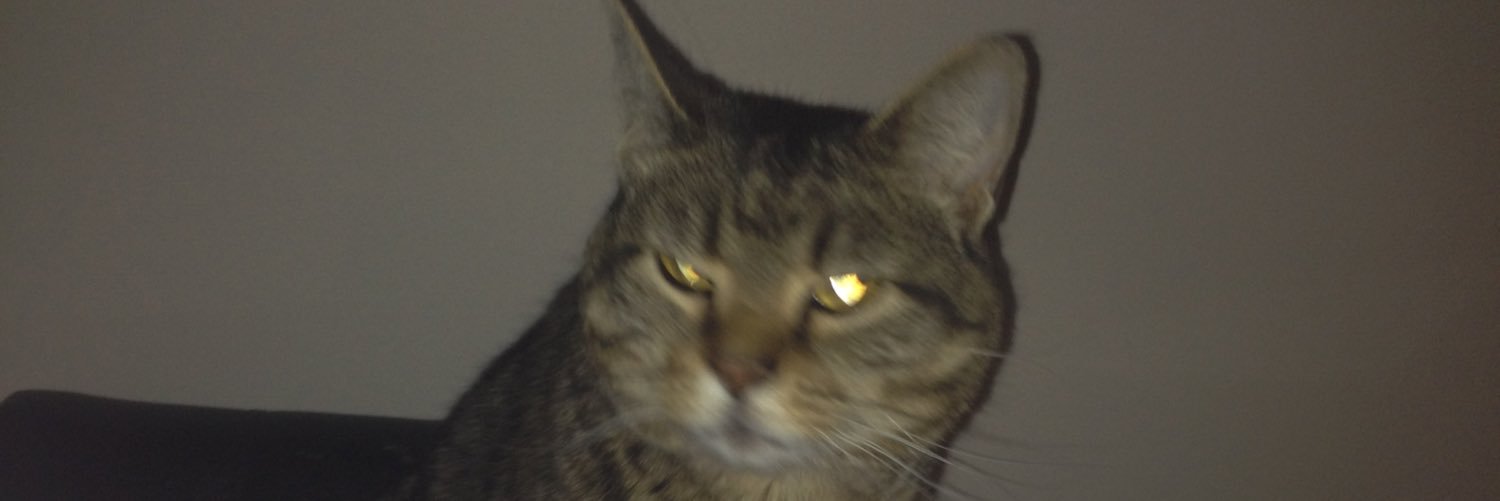 EricaEricaa758's profile banner image