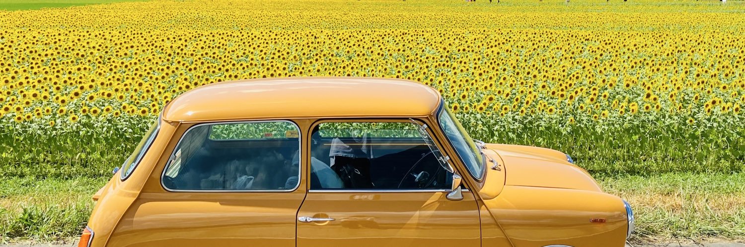BonnsunMichelle's profile banner image