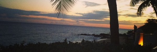 mschafer Profile Banner
