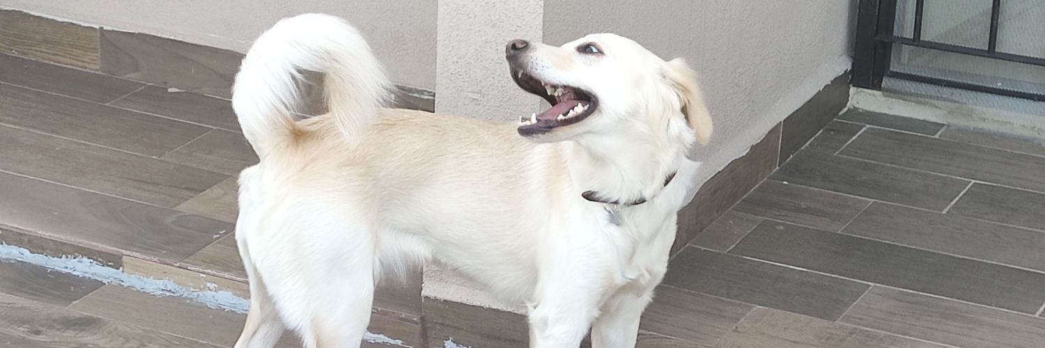 Dan_2x's profile banner image
