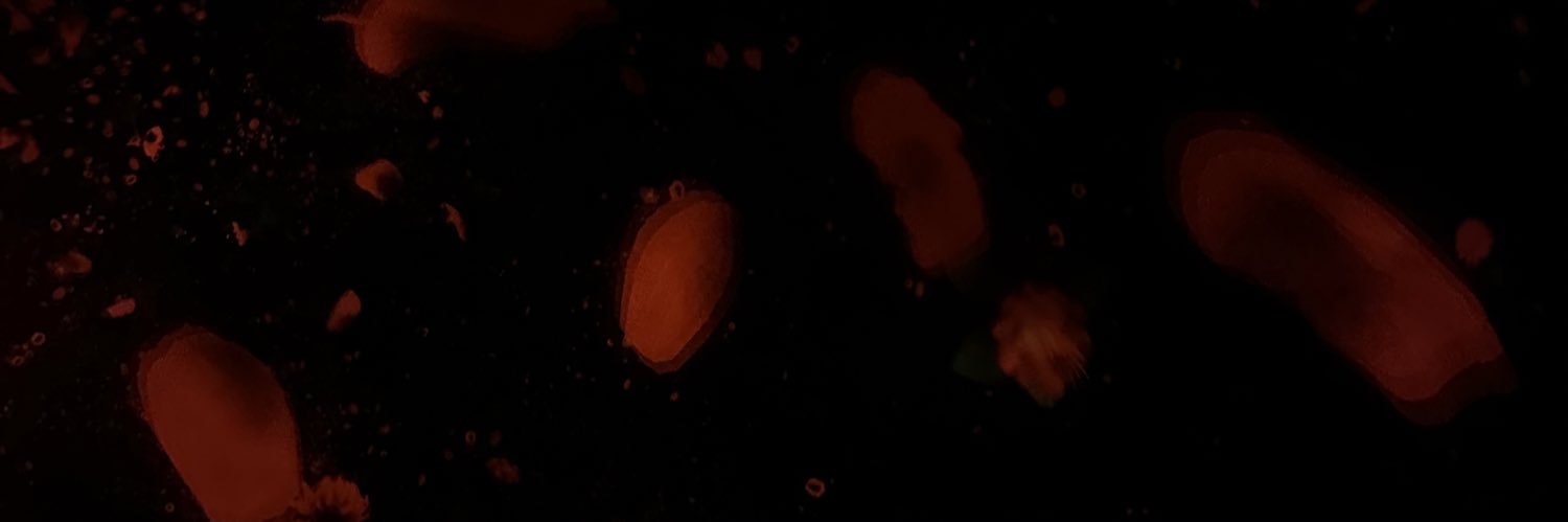 emilielko's profile banner image