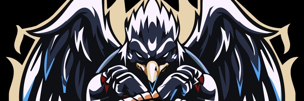 Falcon eSports Pro Club PC (Italy) banner