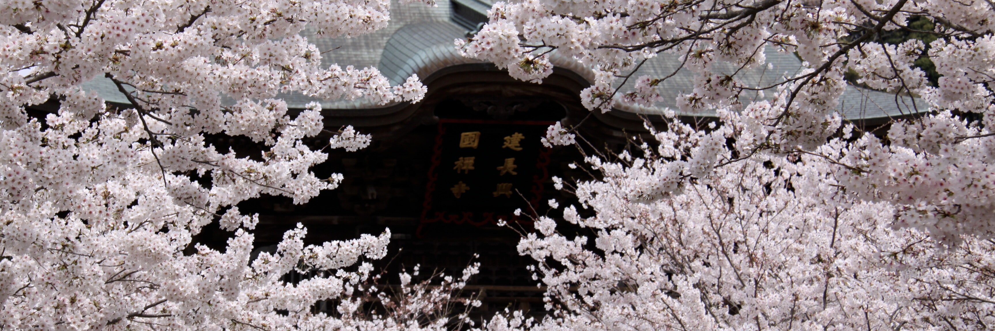 Azabu88's profile banner image