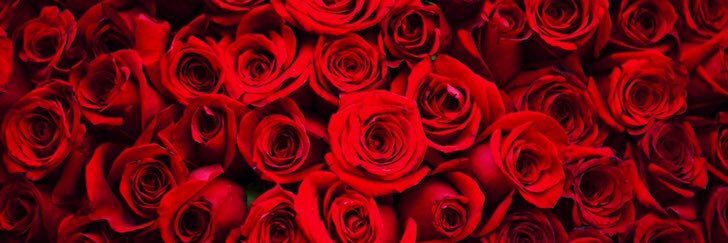 dianrasidin's profile banner image