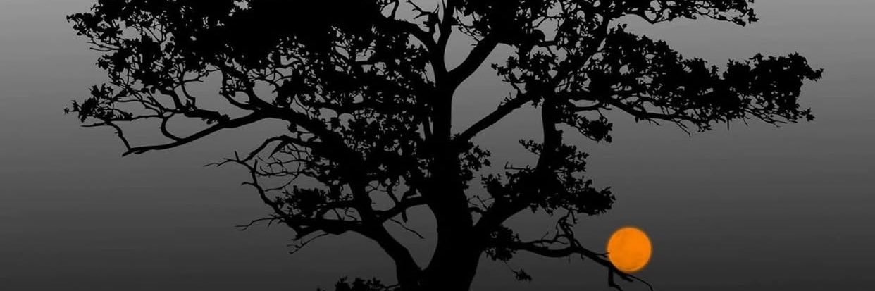 SCAROboy01's profile banner image