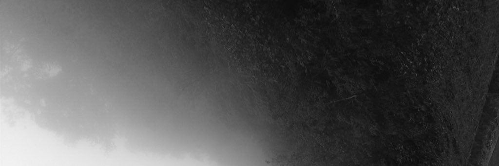 ISRAELGOLLINO's profile banner image
