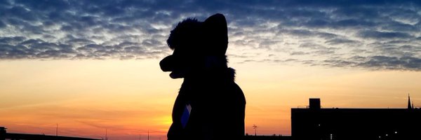 Moxtrots Profile Banner