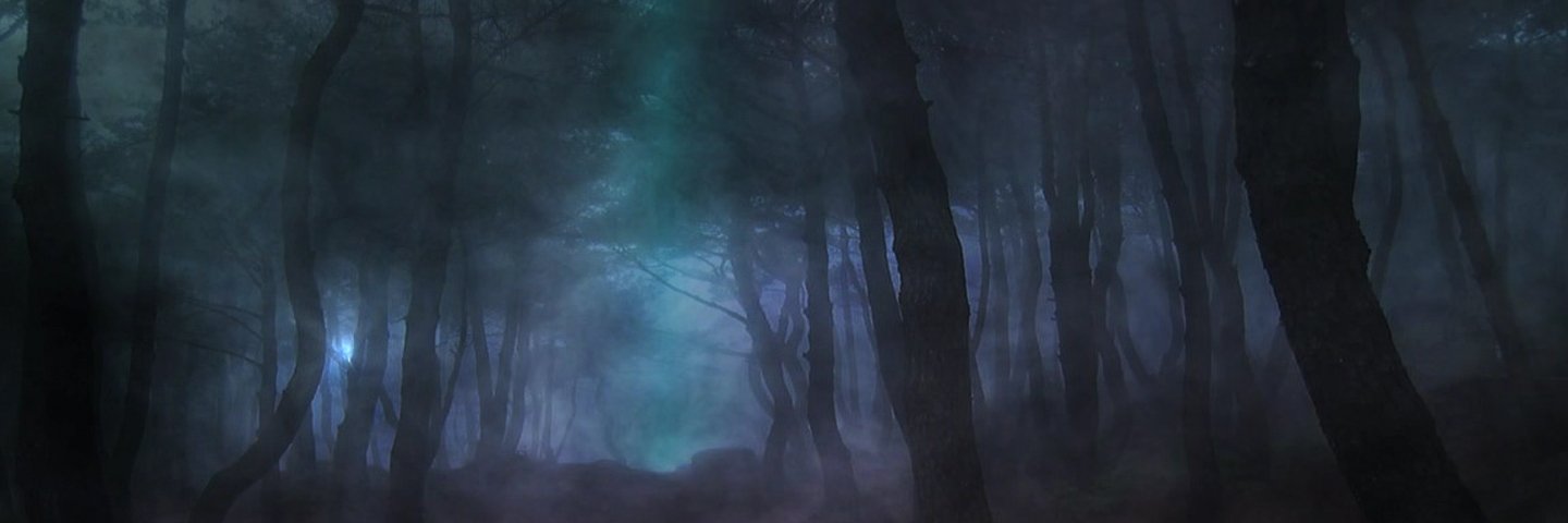 ygnes banner