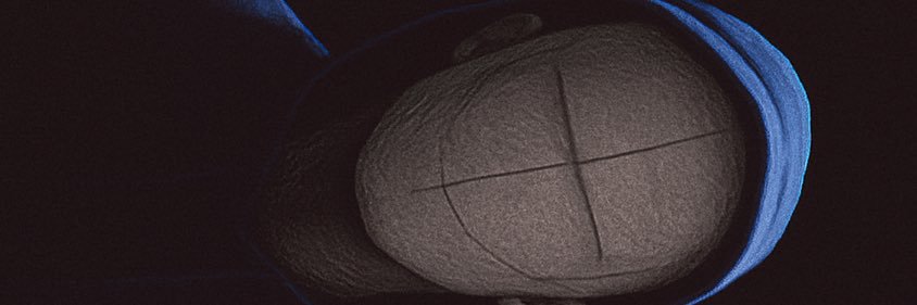 SEBU banner