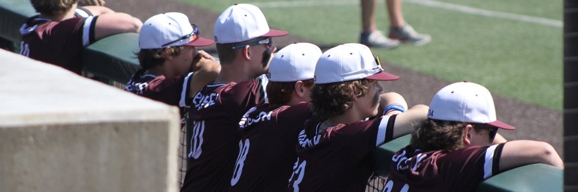 Queen City Baseball club banner