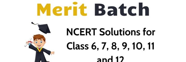 meritbatchs Profile Banner