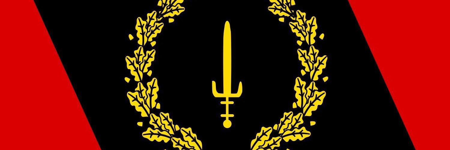 Black American 🇺🇸's banner