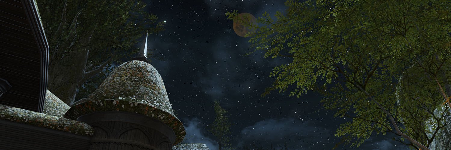 caroreajp's profile banner image