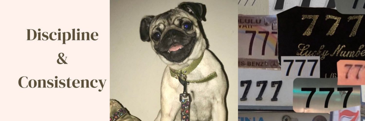 BryceideeLeos7's profile banner image
