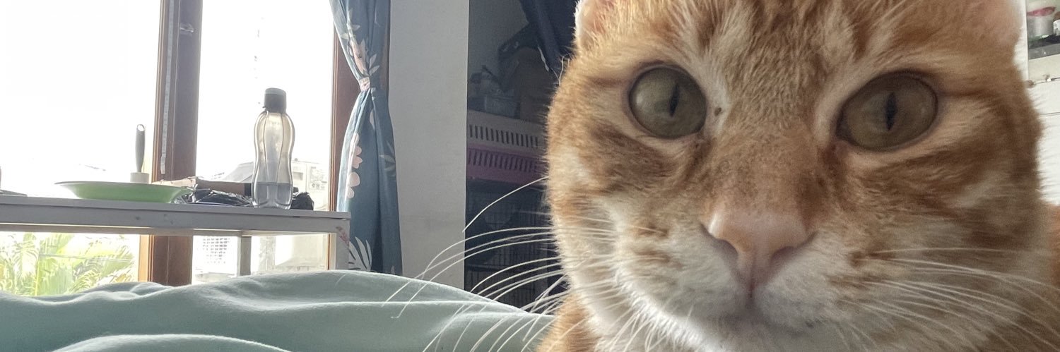 Sabillamstv's profile banner image