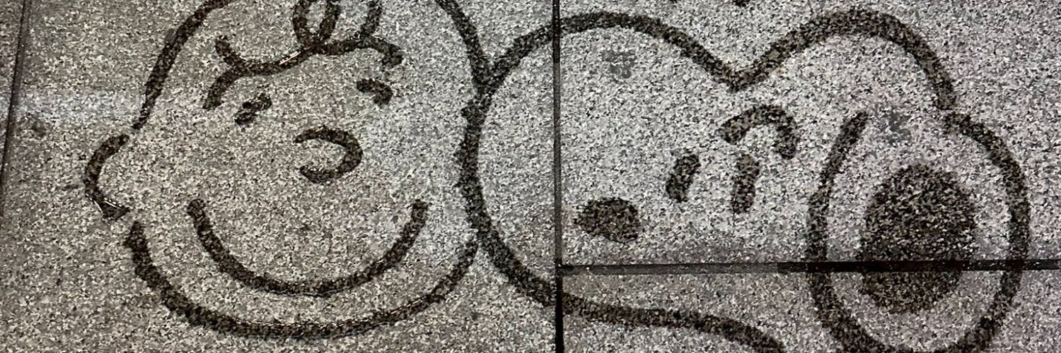 ayu___penguin's profile banner image