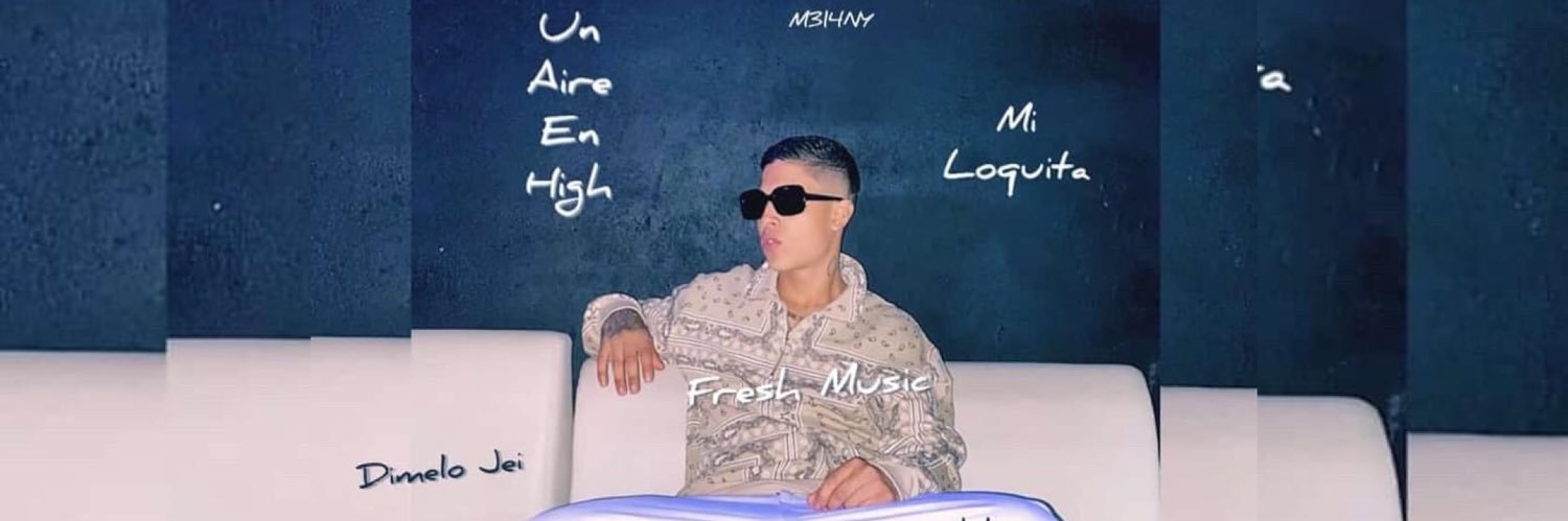 PunchlineMuse's profile banner image