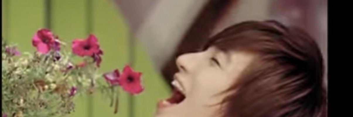 lee___seh's profile banner image