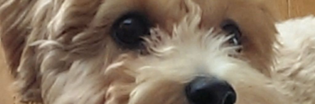 ryu_ma_'s profile banner image