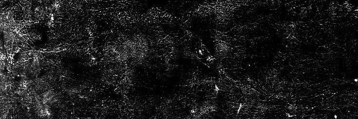 polJ banner