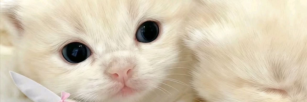 无人在意的神秘嘉宾 banner