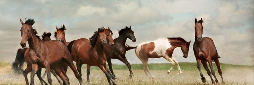 natuledesma's profile banner image