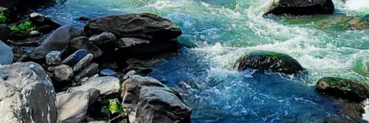 utamadropp's profile banner image