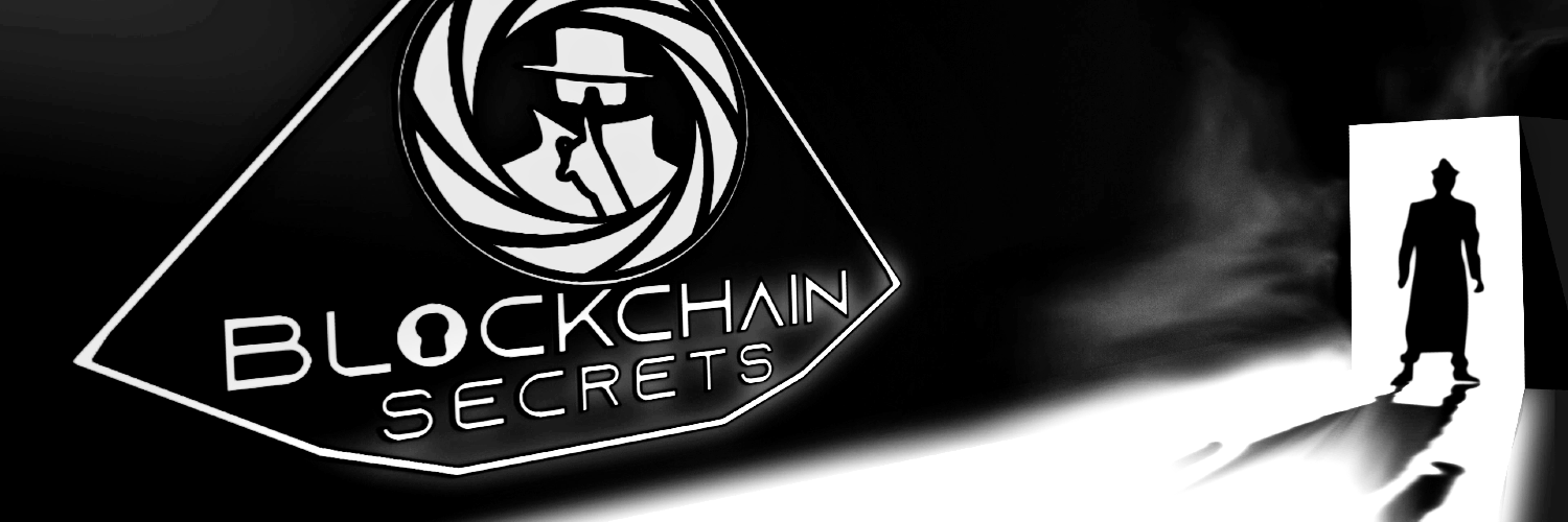 Blockchain Secrets Profile Banner