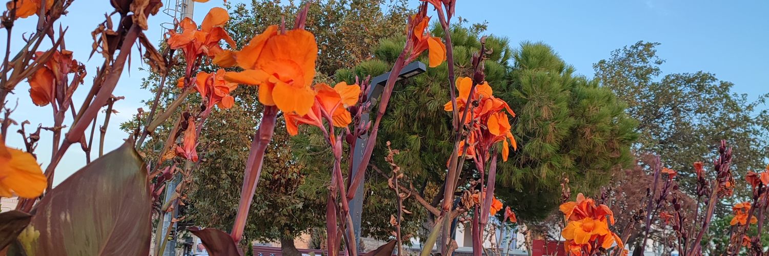 BerrinIsk's profile banner image
