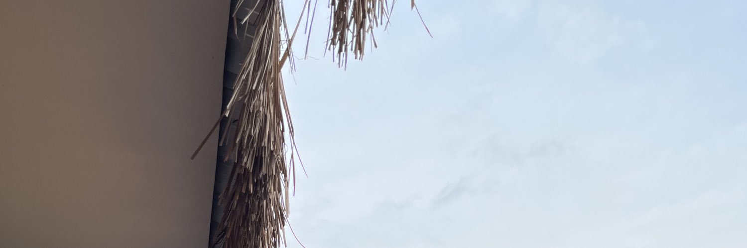 lilbinini's profile banner image