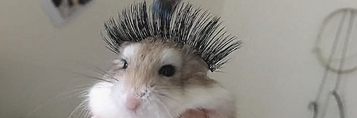 baeeeebiyp banner