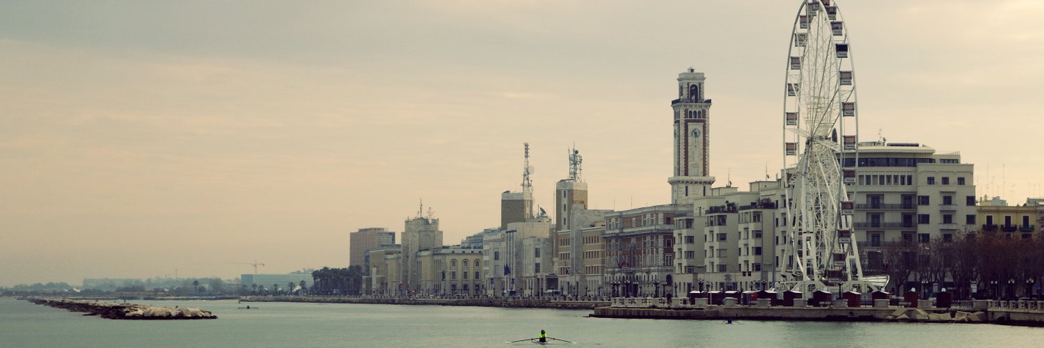 Bardy ❤️ Memecoin banner