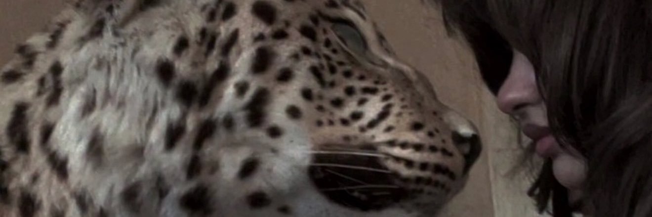 Saif🐿️ banner