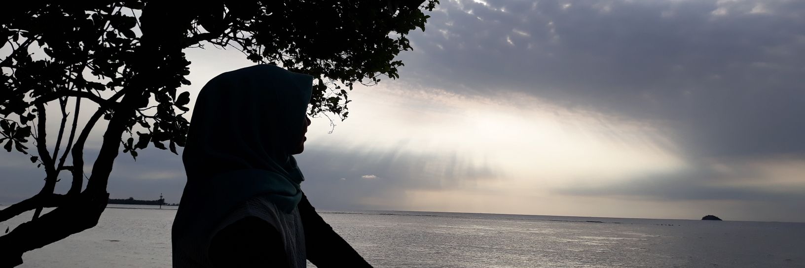 Desi Putri Nyerupa banner