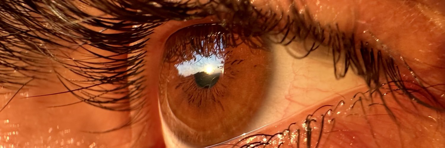 مِهدی banner
