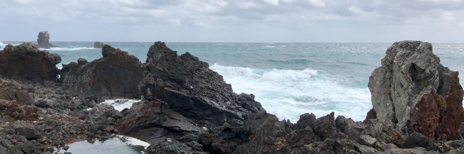 nanayau's profile banner image