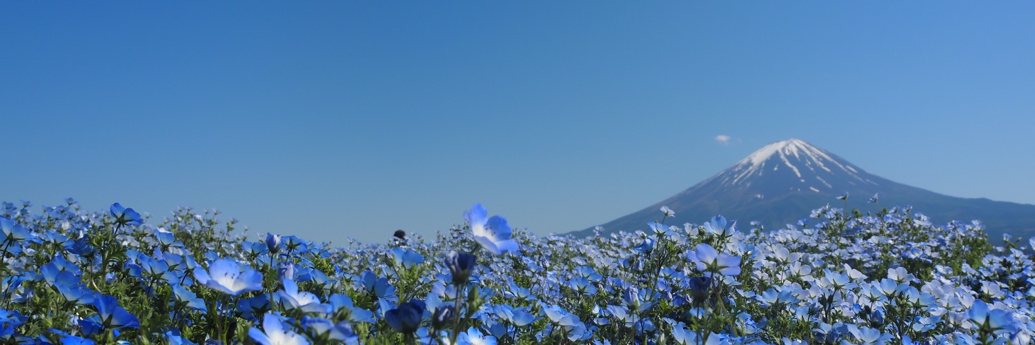 _yamada0730_'s profile banner image