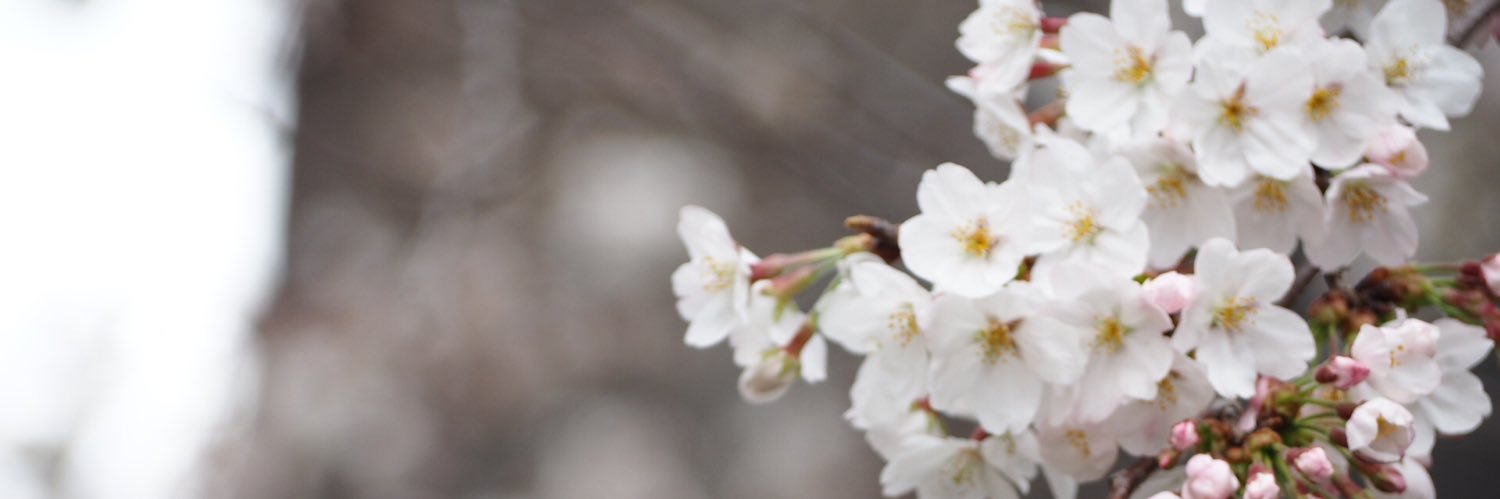 し(お取引) banner
