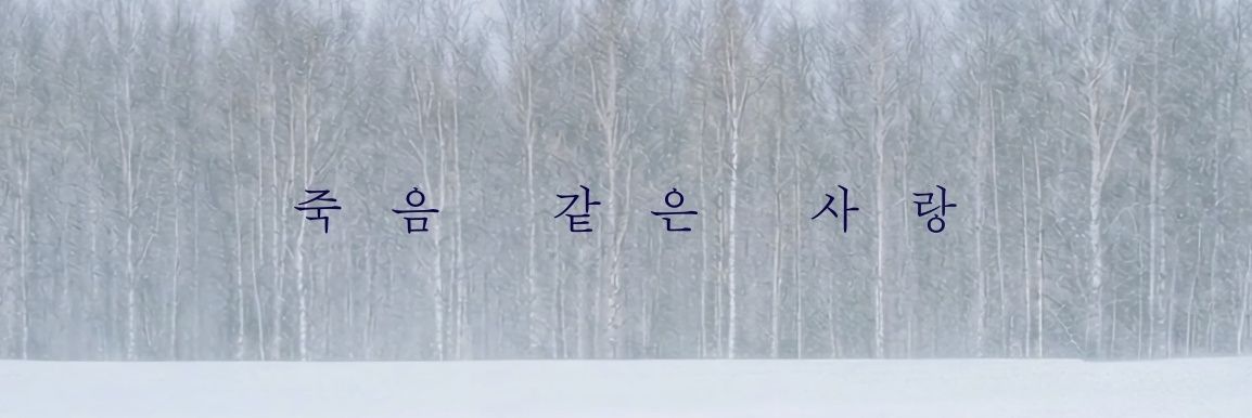 늘 banner