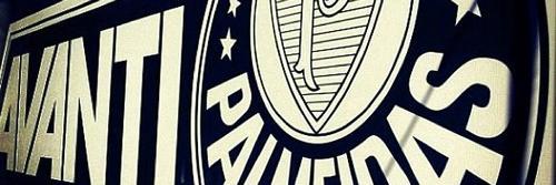 Flávia Prates banner